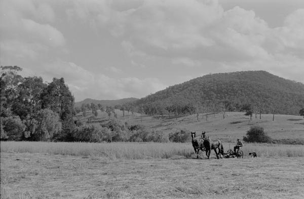 album Mansfield December 1948